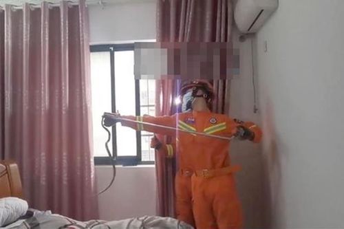 Đang ngủ thấy vướng chân, kinh hoàng phát hiện rắn cực độc trong chăn