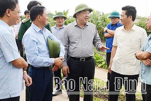 Nam Định lập phương án bảo vệ trọng điểm chống lụt bão