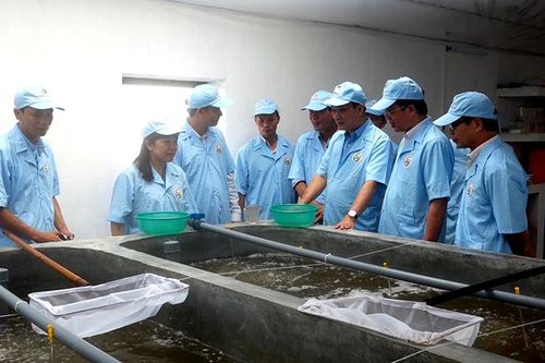 Phấn đấu trở thành trung tâm nuôi trồng thủy sản của miền bắc
