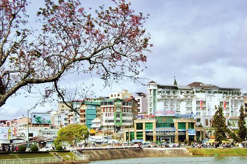 Mỹ cảm mới cho đô thị Đà Lạt