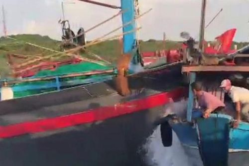 Vụ 2 tàu cá va chạm trên biển Quảng Trị: Thuyền trưởng tàu ngoại tỉnh nói gì?