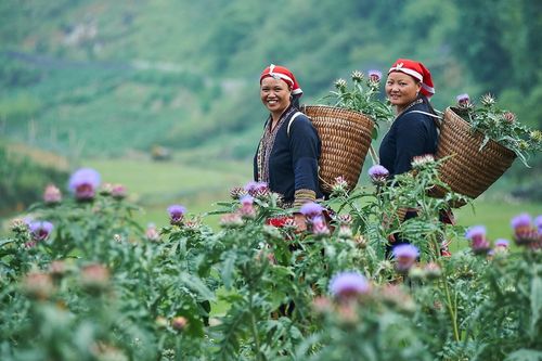 Cùng phụ nữ dân tộc thiểu số phát triển kinh tế, bình đẳng giới