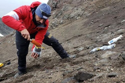 Các nhà khoa học Chile phát hiện vi khuẩn 'siêu năng lực' ở Nam Cực