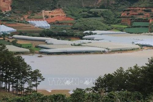 Đầu tư 130 tỷ đồng nạo vét lòng hồ Đankia