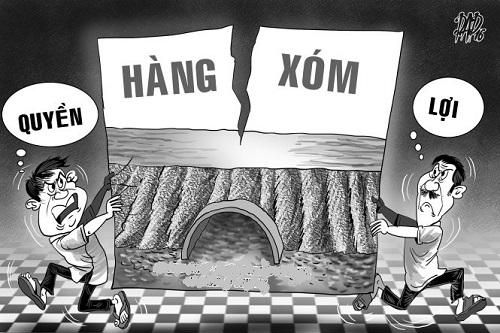 Sứt mẻ tình xóm giềng vì cố giữ 7 cây bạch đàn giáp ranh