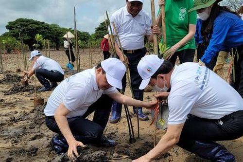 Mệnh lệnh khẩn cấp để quyết tâm hành động vì môi trường