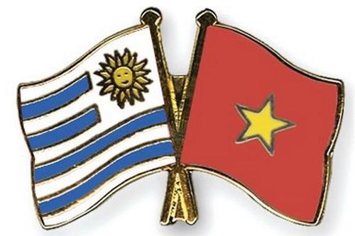 Điện mừng