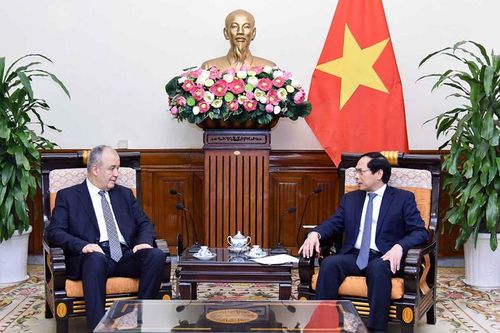 Nâng cao hiệu quả hợp tác Việt Nam-Algeria