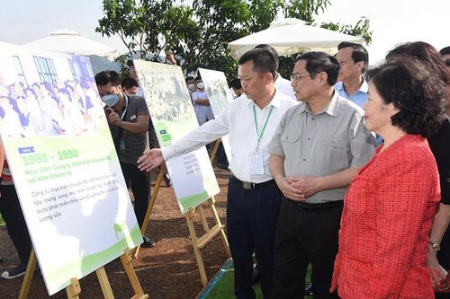 Hình ảnh Thủ tướng dự Lễ khởi công dự án 'Tổ hợp thiên đường sữa Mộc Châu'