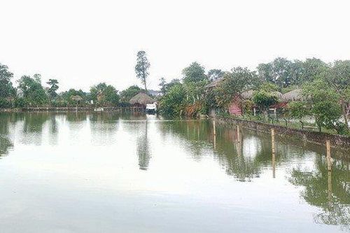 Bé trai 4 tuổi tử vong khi đi thăm quan trang trại