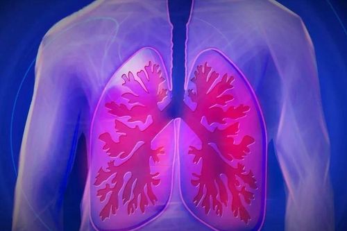 Cơ chế gien đặc biệt giúp nhiều người hút thuốc lá lâu năm không bị ung thư phổi