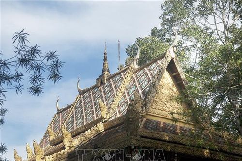 Khám phá chùa Dơi - điểm đến du lịch nổi tiếng ở Sóc Trăng