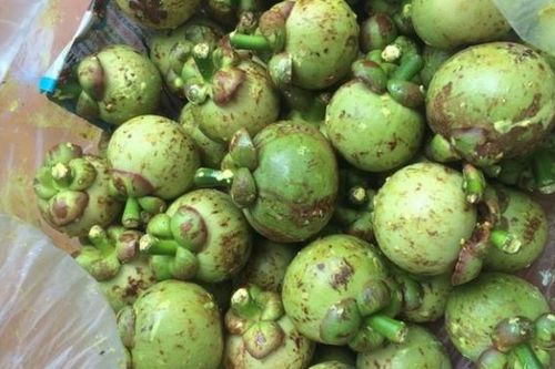 Loại quả vừa chua vừa chát, giá 650.000 đồng/kg khách vẫn mua ầm ầm