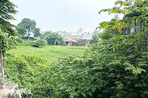 TP.Biên Hòa phủ xanh các khu đất công chưa sử dụng