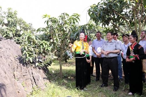 Thủ tướng: 'Đưa cây ăn quả lên sườn dốc' thay đổi tư duy quan trọng