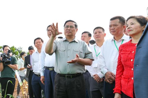Đưa Mộc Châu - Sơn La thành trung tâm kinh tế lớn vùng Tây Bắc