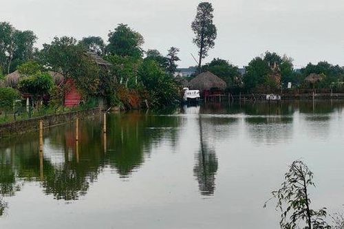 Thanh Hóa: Bé 4 tuổi tử vong khi đi thăm quan tại trang trại Giáo dục và Sinh học Hữu cơ T-Farm