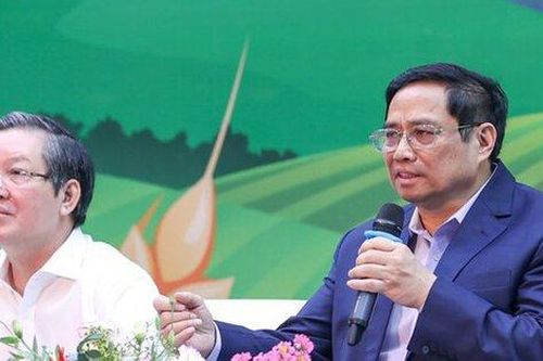 Nông nghiệp, nông dân, nông thôn có vị trí, vai trò chiến lược đặc biệt quan trọng