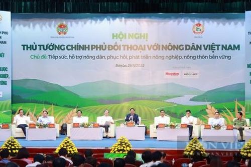 Làm chủ công nghệ trong sản xuất, kinh doanh và làm giàu từ nông nghiệp