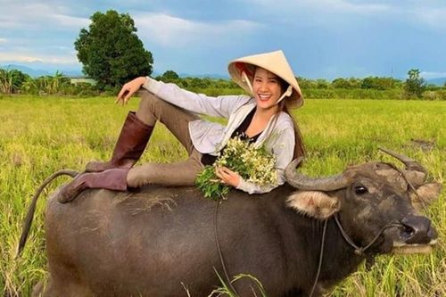 Mặc quần tập, áo trễ cổ sâu đi chăn trâu, cấy lúa, các cô 'nông dân' bị chê cười?