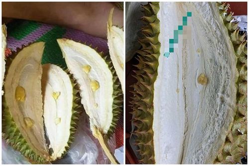 Team nghiện sầu riêng phải khóc thét vì những màn 'khui hàng' để đời