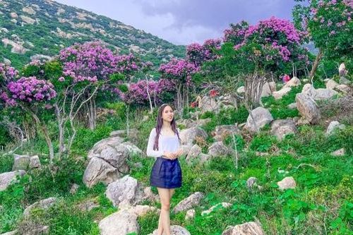 'Cung đường bằng lăng tím' - Điểm check-in đang 'HOT' tại Ninh Thuận