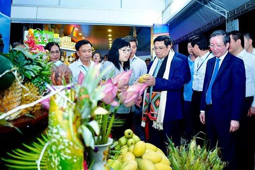 Thủ tướng: Sơn La là điểm sáng về phát triển cây ăn trái