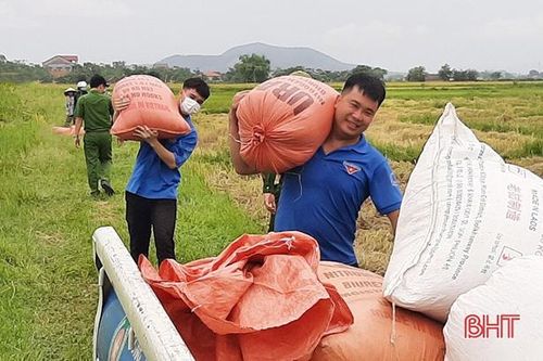Tuổi trẻ Hà Tĩnh sôi nổi hưởng ứng 'Ngày chủ nhật xanh'