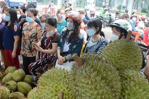 TPHCM: Tấp nập mua sắm tại tuần lễ trái cây 'Trên bến dưới thuyền'
