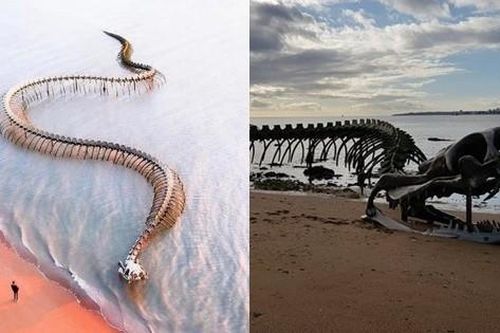 Mặc cho hình ảnh bộ xương quái vật khổng lồ trồi lên giữa mặt biển gây sợ hãi, du khách vẫn nườm nượp đến check-in