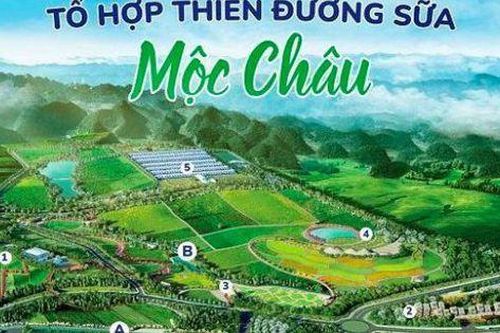 Điểm đặc biệt của Tổ hợp thiên đường sữa Mộc Châu