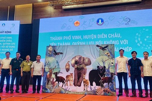 Nói không với việc đánh bắt, sử dụng động vật hoang dã trái phép