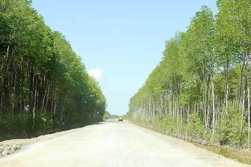 Chưa nối thông được toàn tuyến đường Hồ Chí Minh