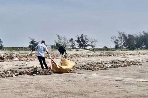 Nam Định: Phát hiện thi thể nam giới đang phân hủy trôi dạt vào bờ biển