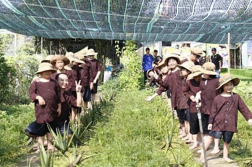 Hè bổ ích: Đa dạng chương trình trải nghiệm