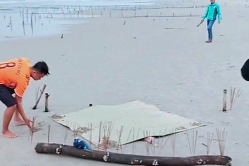 Phát hiện thi thể người phụ nữ đang phân hủy