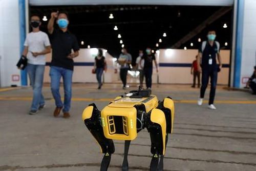 Robot đang thay thế lực lượng lao động ở Singapore trong đại dịch?