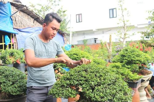 Hiệu quả công tác đào tạo nghề, giới thiệu việc làm cho người dân