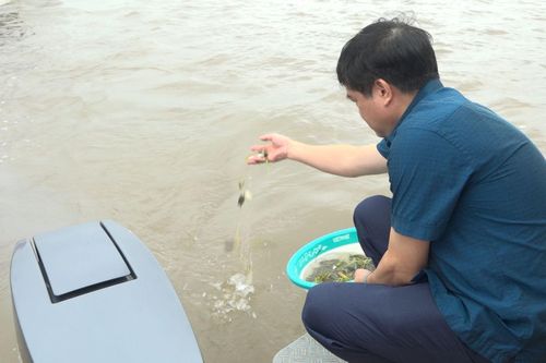 Thái Bình: Bảo vệ và phát triển nguồn lợi thủy sản cần sự chung tay của cộng động