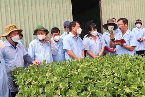 Tái cơ cấu ngành nông nghiệp là nhiệm vụ quan trọng