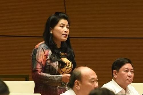 Cử tri lo lắng điện hạt nhân Ninh Thuận bị dừng 14 năm nay vẫn tiếp tục... quy hoạch