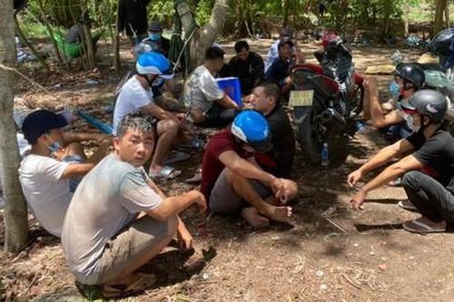 Xóa sổ hai tụ điểm đá gà có hơn 30 đối tượng tham gia