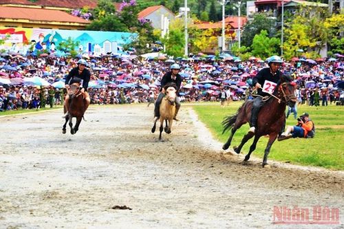 Du lịch hè với 'Festival cao nguyên trắng Bắc Hà'