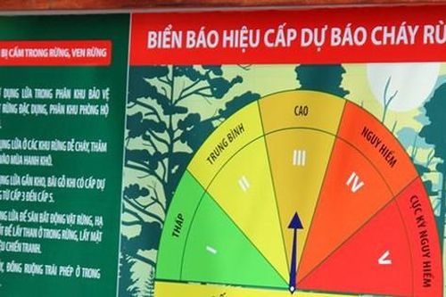 Quảng Ngãi nắng nóng, cảnh báo cháy rừng cấp cao