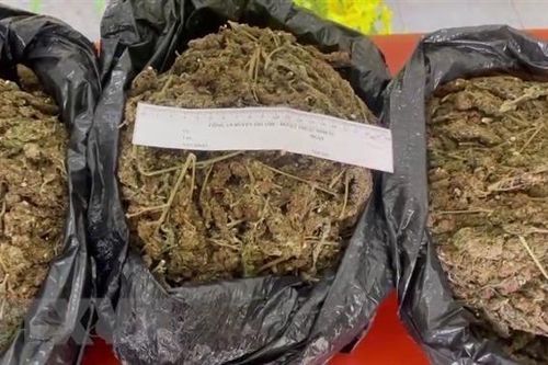 An Giang: Phát hiện vụ vận chuyển 5kg thảo dược, nghi là cần sa khô