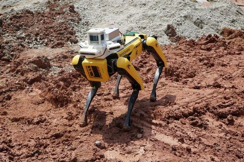 Thiếu hụt nhân công nước ngoài, Singapore tìm đến robot thế chỗ lao động