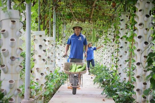 Bắc Giang nâng cao giá trị sản xuất ngành nông nghiệp