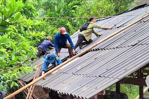 Nậm Pồ dồn sức di dời gần 30 hộ dân nằm dưới cung trượt sạt trên đồi