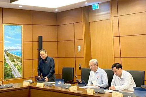 Quốc hội thảo luận về một số nội dung còn ý kiến khác nhau của dự án Luật sửa đổi, bổ sung một số điều của Luật Sở hữu trí tuệ