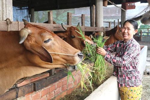 Xã Tân Hộ Cơ hỗ trợ người dân ổn định cuộc sống
